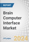 Brain Computer Interface Market by Product (Non-invasive, Invasive, Partial invasive), Technology (EEG, MEG, ECoG, fMRI), Application (Disability/Rehabilitation, Assistive technologies, Mental health, Research), End User - Forecast to 2029- Product Image