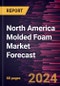 North America Molded Foam Market Forecast to 2030 - Regional Analysis - by Type, Form, Material, and Application - Product Thumbnail Image