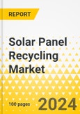 Solar Panel Recycling Market - A Global and Regional Analysis: Focus on Type, Process, Material, Shelf life and Region - Analysis and Forecast, 2024-2034- Product Image