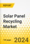 Solar Panel Recycling Market - A Global and Regional Analysis: Focus on Type, Process, Material, Shelf life and Region - Analysis and Forecast, 2024-2034 - Product Thumbnail Image