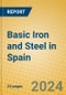 Basic Iron and Steel in Spain - Product Thumbnail Image