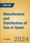 Manufacture and Distribution of Gas in Spain - Product Thumbnail Image