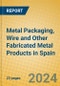 Metal Packaging, Wire and Other Fabricated Metal Products in Spain - Product Image