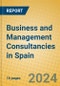 Business and Management Consultancies in Spain - Product Thumbnail Image