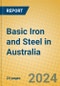 Basic Iron and Steel in Australia - Product Thumbnail Image