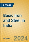 Basic Iron and Steel in India- Product Image