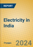 Electricity in India- Product Image
