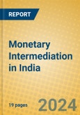 Monetary Intermediation in India- Product Image