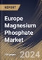 Europe Magnesium Phosphate Market Size, Share & Trends Analysis Report By Form (Dimagnesium Phosphate, Monomagnesium Phosphate, and Trimagnesium Phosphate), By Application, By Country and Growth Forecast, 2024 - 2031 - Product Thumbnail Image