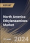 North America Ethyleneamines Market Size, Share & Trends Analysis Report By Type (Ethylenediamines, Diethylenetriamine, Triethylenetetramine, and Others), By Application, By End-use, By Country and Growth Forecast, 2024 - 2031 - Product Image