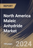 North America Maleic Anhydride Market Size, Share & Trends Analysis Report By Raw Material (N-Butane and Benzene), By Application, By Country and Growth Forecast, 2024 - 2031- Product Image