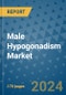 Male Hypogonadism Market - Global Industry Analysis, Size, Share, Growth, Trends, and Forecast 2031 - By Product, Technology, Grade, Application, End-user, Region: (North America, Europe, Asia Pacific, Latin America and Middle East and Africa) - Product Image