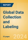 Global Data Collection and Labeling- Product Image