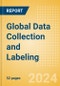 Global Data Collection and Labeling - Product Image