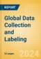 Global Data Collection and Labeling - Product Thumbnail Image