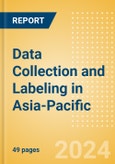 Data Collection and Labeling in Asia-Pacific- Product Image