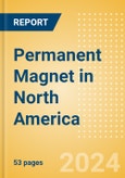 Permanent Magnet in North America- Product Image