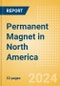 Permanent Magnet in North America - Product Thumbnail Image