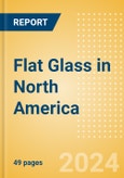 Flat Glass in North America- Product Image