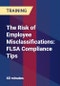 The Risk of Employee Misclassifications: FLSA Compliance Tips - Product Thumbnail Image