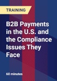 B2B Payments in the U.S. and the Compliance Issues They Face- Product Image