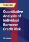 Quantitative Analysis of Individual Borrower Credit Risk - Product Thumbnail Image