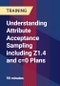 Understanding Attribute Acceptance Sampling including Z1.4 and c=0 Plans - Product Thumbnail Image