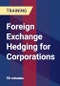 Foreign Exchange Hedging for Corporations - Product Thumbnail Image