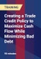 Creating a Trade Credit Policy to Maximize Cash Flow While Minimizing Bad Debt - Product Thumbnail Image