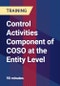 Control Activities Component of COSO at the Entity Level - Product Thumbnail Image
