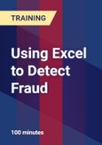 Using Excel to Detect Fraud- Product Image