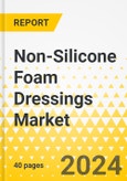 Non-Silicone Foam Dressings Market - A Global and Regional Analysis: Focus on Region, Country-Level Analysis, and Competitive Landscape - Analysis and Forecast, 2023-2030- Product Image