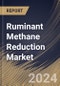 Ruminant Methane Reduction Market Size, Share & Trends Analysis Report By Product (Feed Additives/Supplements (Microbial-based, Plant-based, and Chemical-based), and Other Products), By Animal Type, By Regional Outlook and Forecast, 2024 - 2031 - Product Image