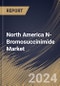 North America N-Bromosuccinimide Market Size, Share & Trends Analysis Report By Content (Content 99%, and Content 98%), By Application (Pharmaceutical Industry, Pesticides Industry, and Others), By Country and Growth Forecast, 2024 - 2031 - Product Thumbnail Image