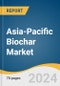 Asia-Pacific Biochar Market Size, Share & Trends Analysis Report by Technology (Gasification, Pyrolysis), Application (Agriculture (Animal Farming, Industrial Uses), Others), Country (India, China, Japan), and Segment Forecasts, 2024-2030 - Product Image