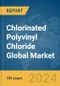 Chlorinated Polyvinyl Chloride (CPVC) Global Market Opportunities and Strategies to 2033 - Product Thumbnail Image