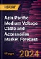Asia Pacific Medium Voltage Cable and Accessories Market Forecast to 2030 - Regional Analysis - by Installation, Product, Voltage, and End User - Product Thumbnail Image