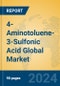 4-Aminotoluene-3-Sulfonic Acid Global Market Insights 2024, Analysis and Forecast to 2029, by Manufacturers, Regions, Technology, Application - Product Thumbnail Image