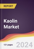 Kaolin Market: Trends, Opportunities and Competitive Analysis [2024-2030]- Product Image