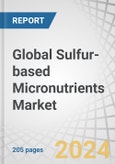 Global Sulfur-based Micronutrients Market by Application (Oilseeds & Pulses, Cereals & Grains, and Fruits & Vegetables), Type (Sulfur-Bentonite-Zinc, Sulfur-Bentonite-Molybdenum, Sulfur-Bentonite-Manganese, Sulfur-Bentonite-Iron) - Forecast to 2029- Product Image
