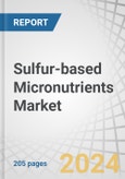 Sulfur-based Micronutrients Market by Application (Oilseeds & Pulses, Cereals & Grains, and Fruits & Vegetables), Type (Sulfur-Bentonite-Zinc, Sulfur-Bentonite-Molybdenum, Sulfur-Bentonite-Manganese, Sulfur-Bentonite-Iron) - Forecast to 2029- Product Image