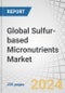 Global Sulfur-based Micronutrients Market by Application (Oilseeds & Pulses, Cereals & Grains, and Fruits & Vegetables), Type (Sulfur-Bentonite-Zinc, Sulfur-Bentonite-Molybdenum, Sulfur-Bentonite-Manganese, Sulfur-Bentonite-Iron) - Forecast to 2029 - Product Thumbnail Image