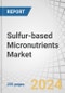 Sulfur-based Micronutrients Market by Application (Oilseeds & Pulses, Cereals & Grains, and Fruits & Vegetables), Type (Sulfur-Bentonite-Zinc, Sulfur-Bentonite-Molybdenum, Sulfur-Bentonite-Manganese, Sulfur-Bentonite-Iron) - Forecast to 2029 - Product Image