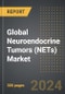 Global Neuroendocrine Tumors (NETs) Market (2024 Edition): Analysis By Therapy (Somatostatin Analogs (SSAs), Targeted Therapy, Others), By Route of Administration, By Indication, By End User, By Region: Market Insights and Forecast (2020-2030) - Product Image