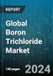 Global Boron Trichloride Market by Type (Electronic Grade, Industrial Grade), Application (Catalyst, Chemical Synthesis, Etching Agent), End-User - Forecast 2024-2030 - Product Image