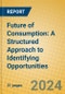 Future of Consumption: A Structured Approach to Identifying Opportunities - Product Image