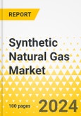 Synthetic Natural Gas Market - A Global and Regional Analysis: Focus on Application, Technology, and Region - Analysis and Forecast, 2024-2034- Product Image