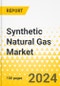Synthetic Natural Gas Market - A Global and Regional Analysis: Focus on Application, Technology, and Region - Analysis and Forecast, 2024-2034 - Product Thumbnail Image