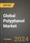Global Polyphenol Market Outlook Report: Industry Size, Competition, Trends and Growth Opportunities by Region, YoY Forecasts from 2024 to 2031 - Product Image