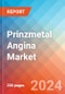 Prinzmetal Angina - Market Insight, Epidemiology and Market Forecast - 2034 - Product Image